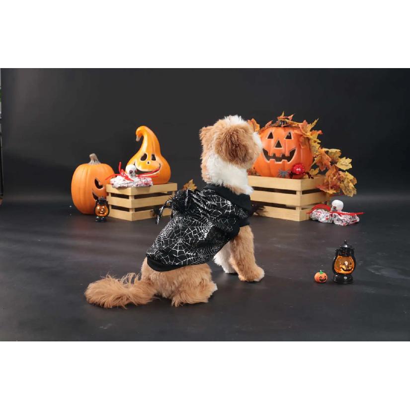 2026 New Pet Halloween Costume Decorations Clothes Black Spider Web Outfits Cat and Dog Cosplay Costumes Pet Supplies