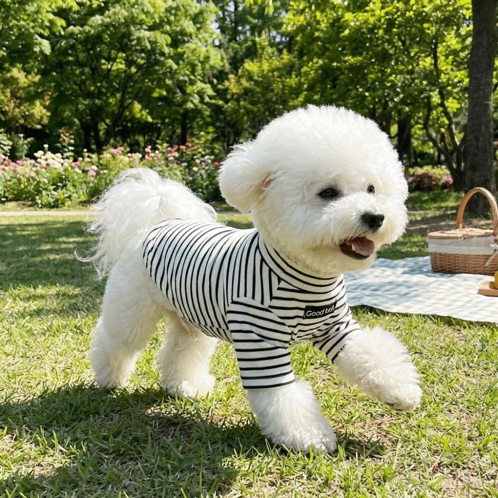 Warm Dog Base Coat High Collar Striped Sweatshirt Dog Clothing Dog Thermal Shirt  Small Medium Dog