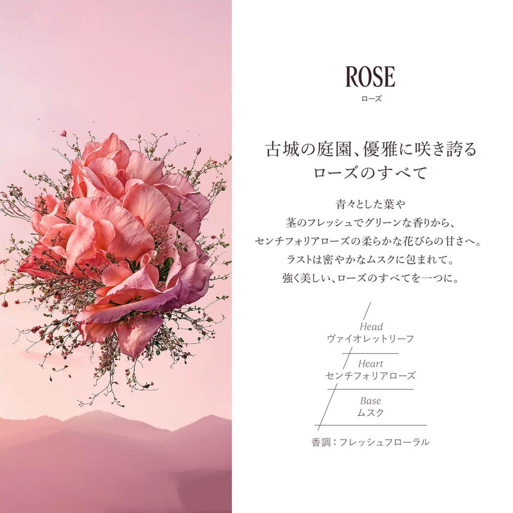 Увлажняющее парфюмированное молочко для тела «Роза» для всего тела, популярное для мужчин и в качестве подарка на день рождения, L'OCCITANE 250 мл, тело, женщины,