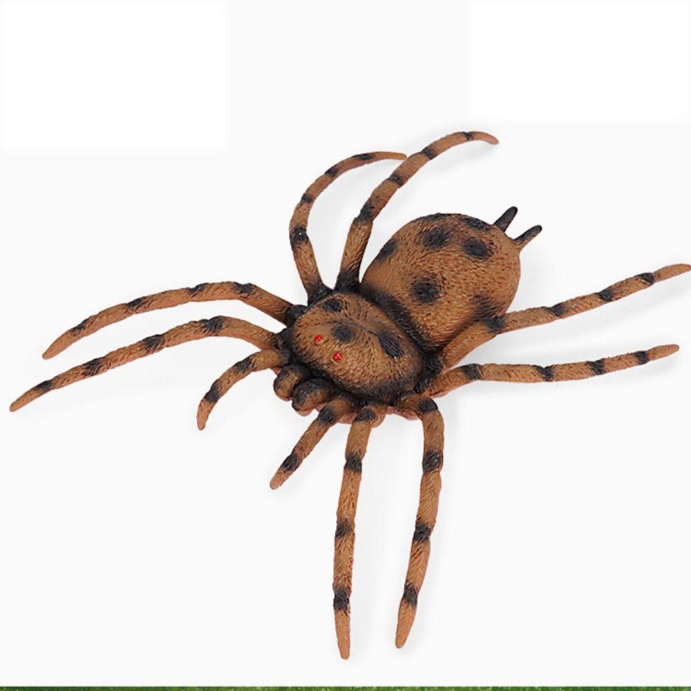 Кузнечик Моделирование Модель дикой природы Сверчок Моделирование Модель насекомого Забавные детские игрушки