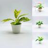 17*13*7 см Мини Бонсай Искусственные Цветы ПП Мягкий Пластик