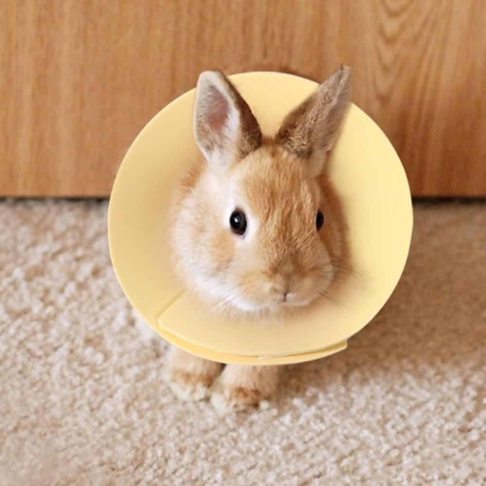 Adjustable Anti Licking Collar Anti-Bite Protective Collar for Bird Hamster Rabbit
