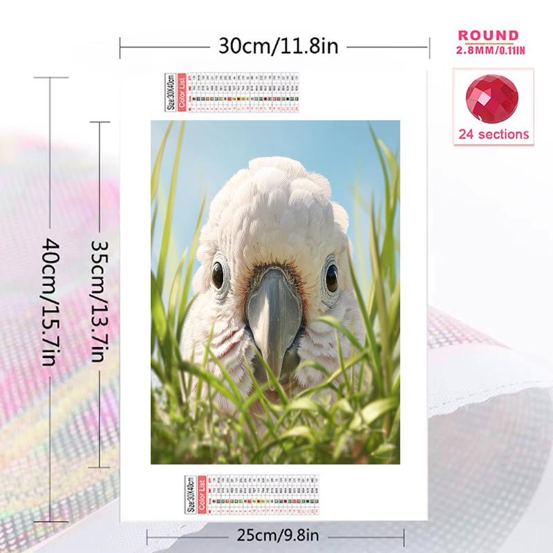 Cockatoo Pattern 3pcs 100% Round Full Drill 5D DIY Diamond Painting Embroidery Cross Stitch Rhinestone Décor