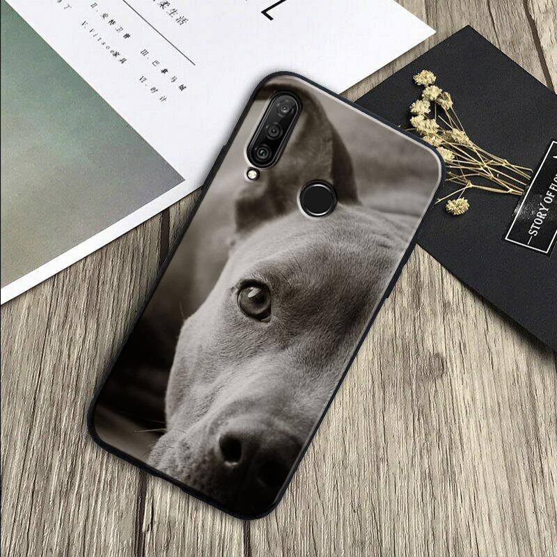 Pit Bull Lovely Dog Pitbull For Huawei Nova 7i 3i 8i 11 12i 10 9 SE Y60 Y61 Y70 Y72 Y73 Y90 Y91 P20 P30 Pro P40 Lite Case