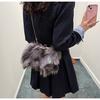 Осенью и зимой новая сумка для волос женская заколка для волос из лисы женская сумка текстура плечо через плечо облако сумка модная внешняя торговля женская сумка