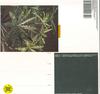 LP Пластинка POLYGONIA POPP  Candid 180г SQM022 Squama 2023 Германия Танцевальная  Электроника