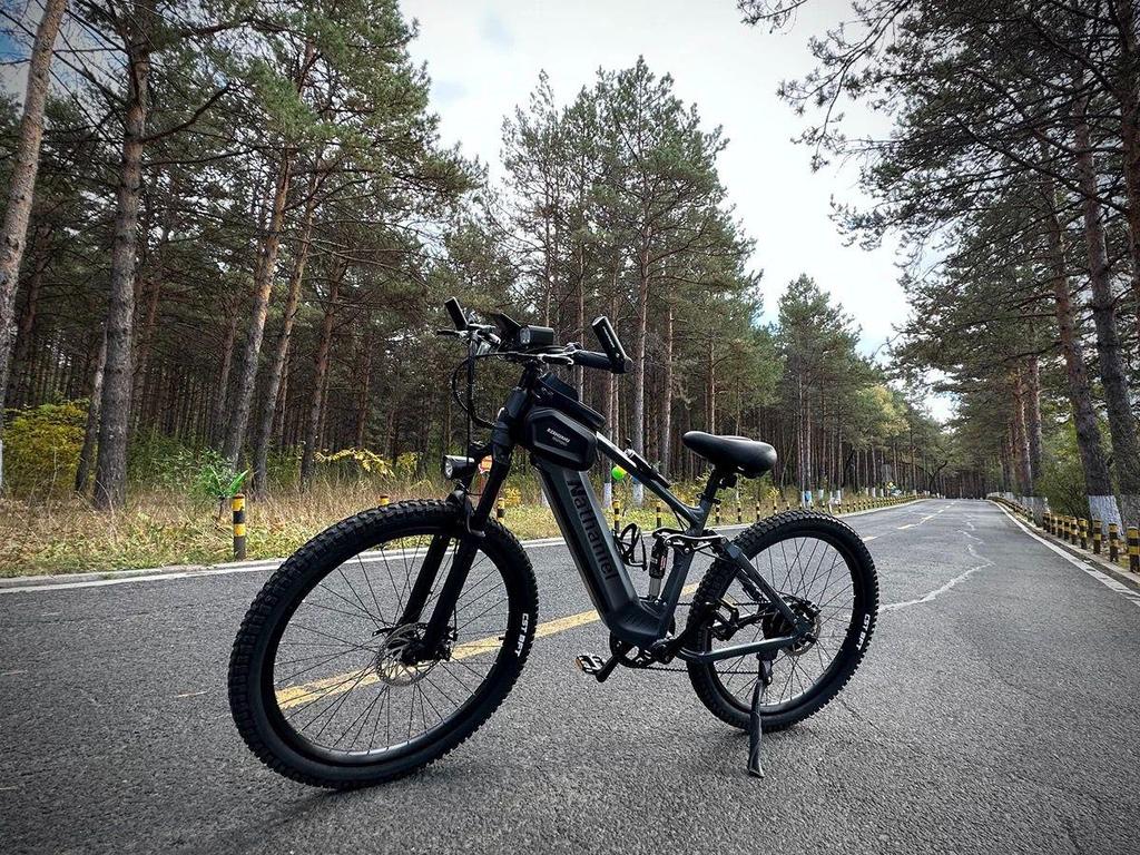 Ebike SYR03 Внедорожный электрический горный велосипед 1000 Вт 48 В 20 Ач с питанием от литиевой батареи, мягкий задний амортизатор, вседорожный