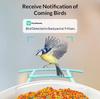 Karmnik dla ptaków z kamerą wifi vicohome g02 - smart bird feeder z panelem solarnym
