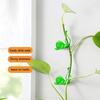 20Pcs/Set Climbing Plant Clip Self-adhesive Non Marking Butterfly Plant Climbing Wall Fixture Clips for Balcony