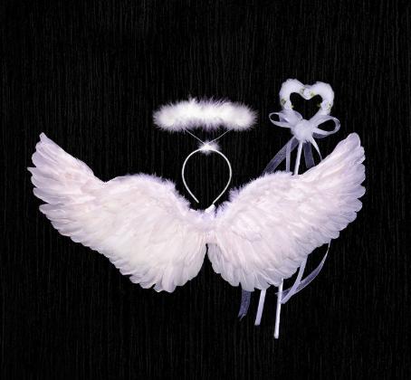 Adult Show Costume Dress up Props Heart Wings Plastic New Year Factory Price Hot Selling