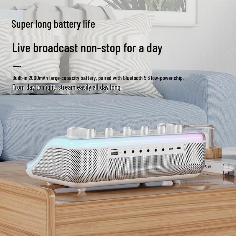 Soaiy SG60 Home KTV All-in-One Speaker with Dual Microphones