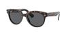 Солнцезащитные очки RB2199 СЕРЫЕ ЛИНЗЫ 52 [Ray-Ban] Мужские 902/B1 ЧЕРЕПАХОВЫЙ/ТЕМНЫЙ