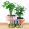 Large European Double-Mouth Ceramic Succulent Pot - Creative Retro Design for Indoor Decor