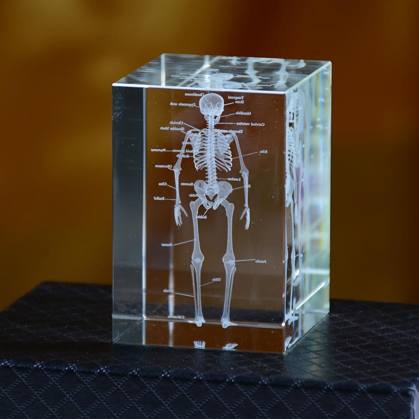 3D Кристаллическая модель анатомии человеческого скелета Лазерная гравировка Медицинский обучающий инструмент Научный подарок для врачей Медицинское искусство Подарок