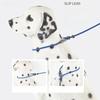 Anti Lock And Wear-resistant Training Explosion Proof P Traction Rope Dog Walking Leash Dog Accessories For Small Dogs