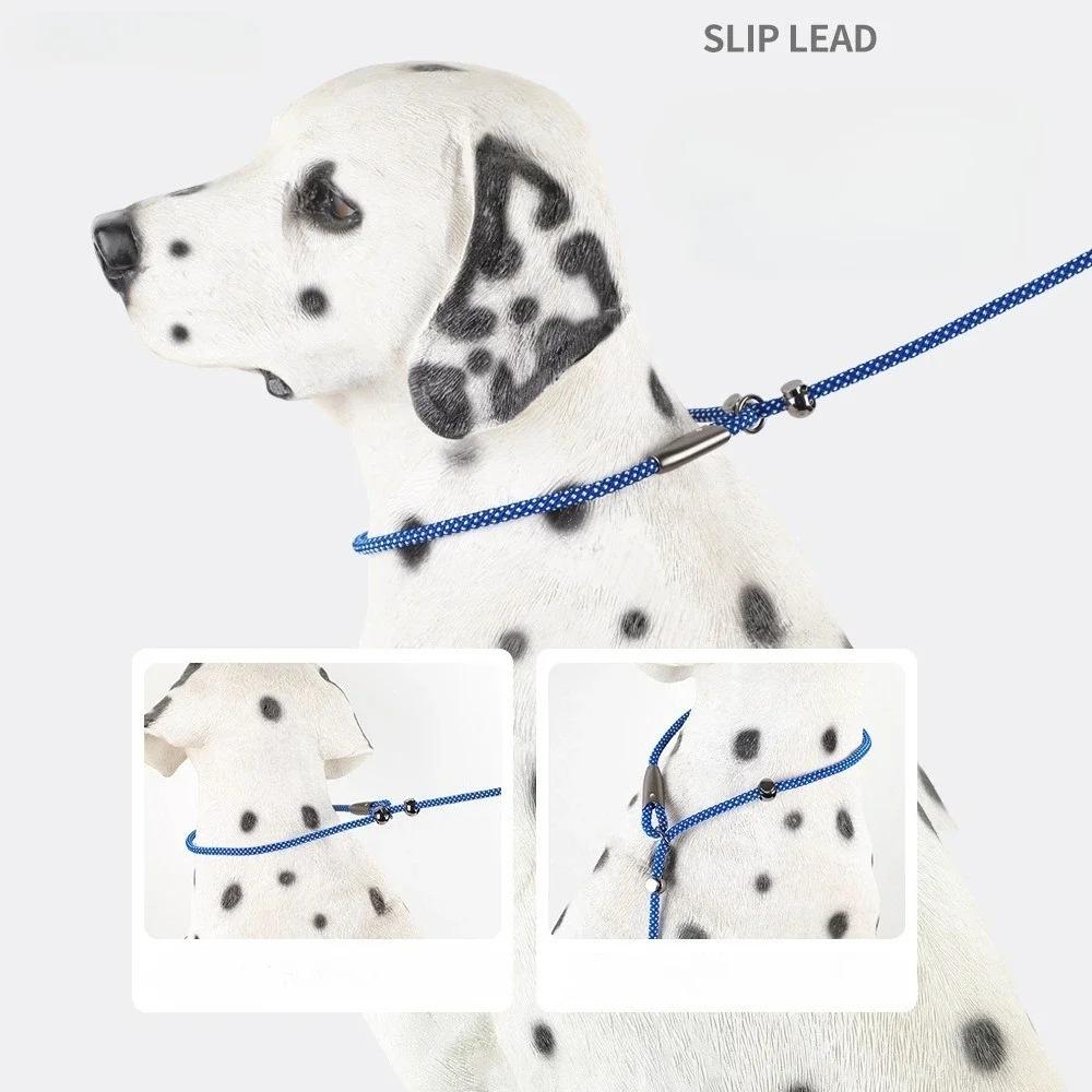 Anti Lock And Wear-resistant Training Explosion Proof P Traction Rope Dog Walking Leash Dog Accessories For Small Dogs