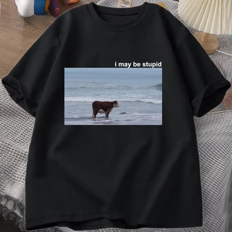 I May Be Stupid Cow on Beach Funny Meme T Shirt Cotton Short Sleeve Women Fashion ONeck Tshirt Casual Cozy Cotton T Shirts