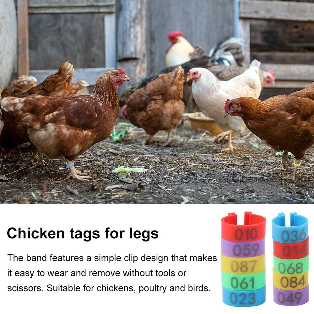 100 шт. Портативные пластиковые кольца для ног птицы 16/20 мм с номером, буквой, 5 цветов