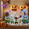 Pet Costume Outfit Pomeranian French Bulldog Golden Retriever Labrador - Adjustable Transforming Dress-Up Apparel