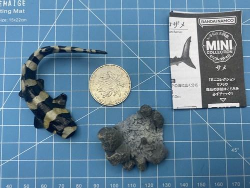 GACHA Ecological Atlas FIGURE MINI Shark Hammerhead Shark Hammerhead Shark Deep-Sea Creatures ACTION Figure Model Toys
