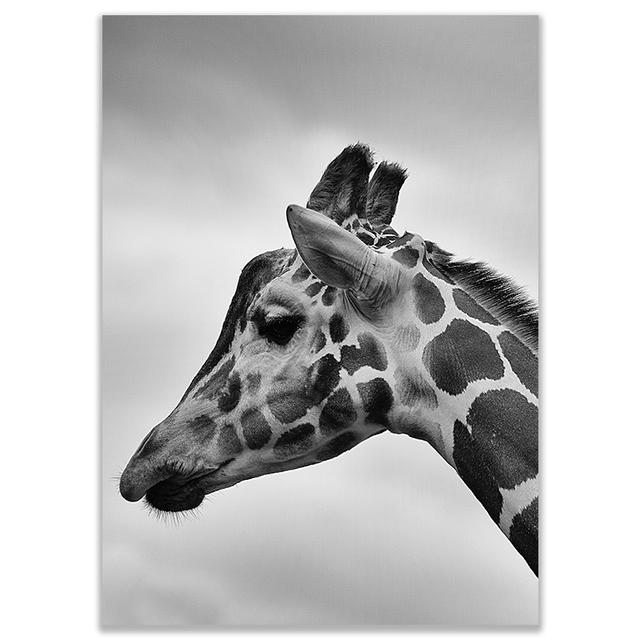 Черно-белые настенные постеры с животными, принт, носорог, жираф, зебра, лев, слон, холст, картина, настенное искусство, декоративные домашние фотографии
