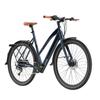 Fafrees F700W Electric Bike, 250W Motor, 36V 10Ah Battery, 9-speed