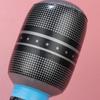 Sale Role Play Stage Birthday Decoration Inflatable Microphones Inflated Toys Photo Props Blow Up