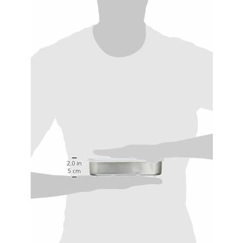 Skater Aluminum Rapid Freezing Storage Container M 840ml Natural Made In Japan AKH3