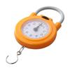 Metal High Precision Weight Scale Portable Hanging Scale With Hook Spring Scale Kitchen Scale