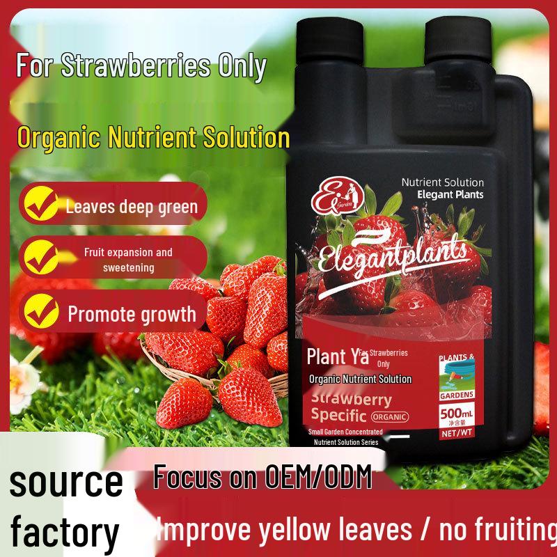 Organic Water-Soluble Strawberry Fertilizer for Potted and Soilless Plants (Slow-Release Concentrated Nutrient)