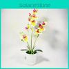 Phalaenopsis Fake Potted Plant Blossom With Pvc And Injection Molding For Office Table Decor