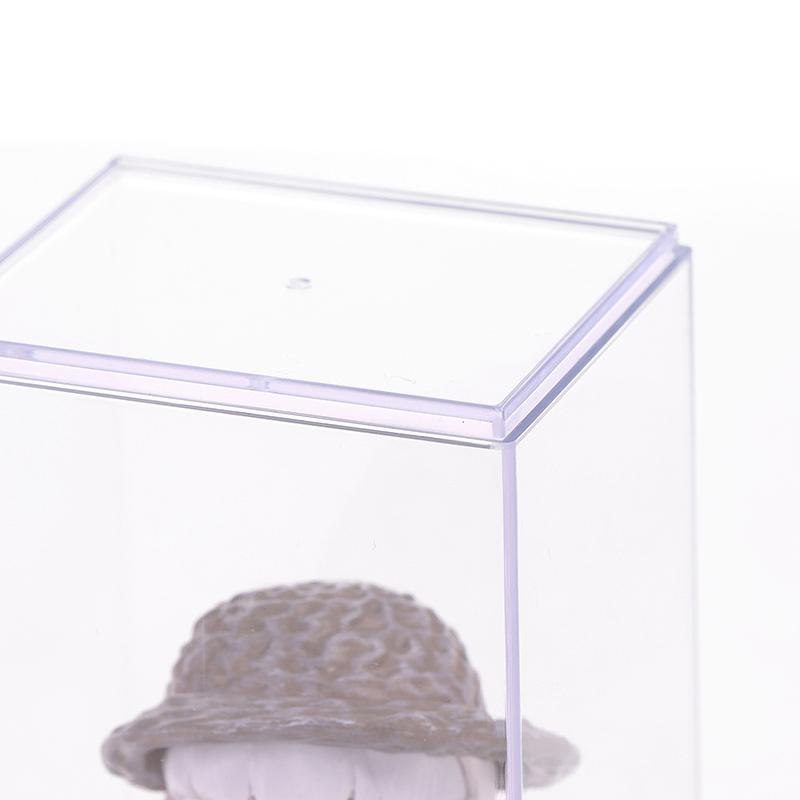 Ящик для хранения Настольная коробка для кукол Одиночная пылезащитная прозрачная стойка для выставки товаров
