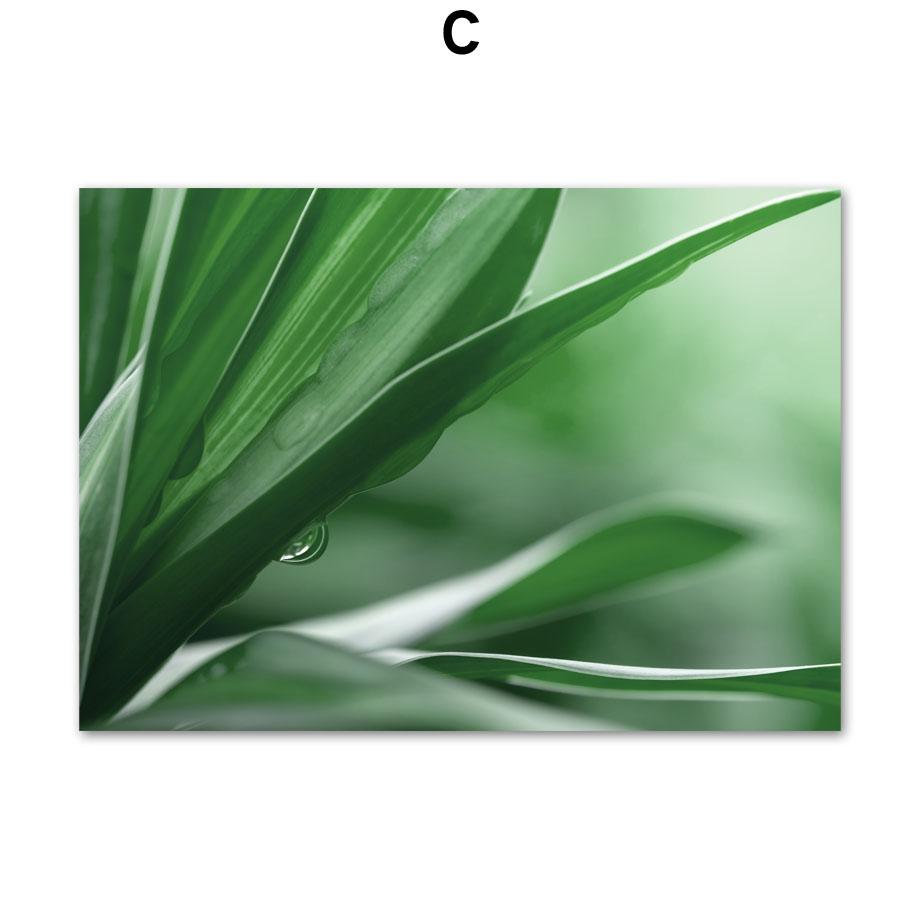 Свежие зеленые растения папоротники банановый лист плакаты на скандинавскую тему и принты холст живопись настенные художественные фотографии для гостиной домашний декор