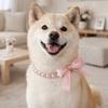Simulated Pearl Cat Bead Collar Bling Pet Simulated Pearl Collar Pet Pearl Necklace  Pet Show