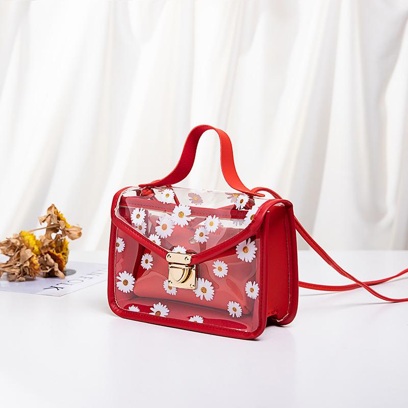 Korean-Style Transparent Crossbody Bag: Cute Women's Handbag with Lovely Print, Small & Fresh for 2024