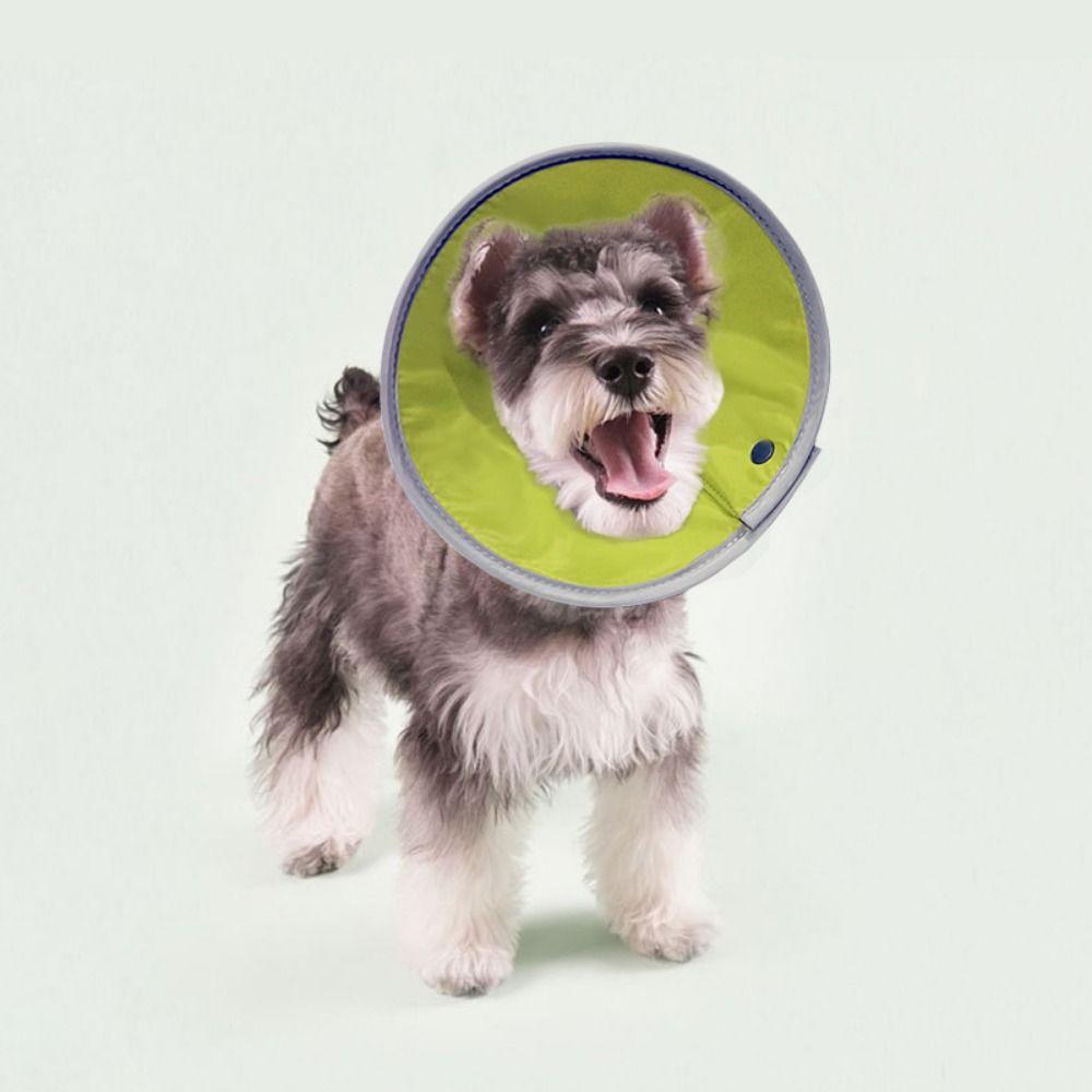 Anti-bite Cat Cone Collar Lightweight Pet Protective Cover Cat Wound Recovery Sleeve Recovery