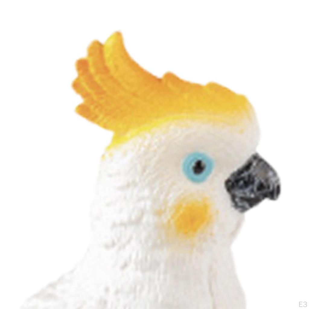 Bird Figurine Parrot Model for Kids Gifts Home Decor