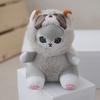Очаровательный мини-плюшевый енот, брелок, милая кукла-животное, мягкий мех, аксессуар для ключей