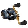 DAIWA 21 Saltiga IC 100PL-DH