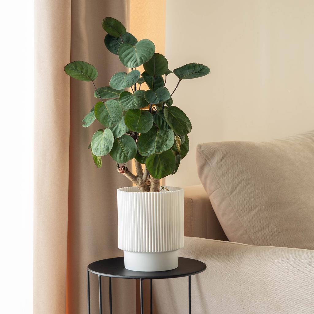 KADAX Doniczka Donica Na Kwiaty 13cm Osłonka Rośliny Kwietnik Plastikowa Biała