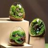 1PC Hydroponic Fleshy Micro Landscape Glass TerrariumCreative Egg-shaped Glass Bottles Succulent Glass Vase Moss Home Decoration
