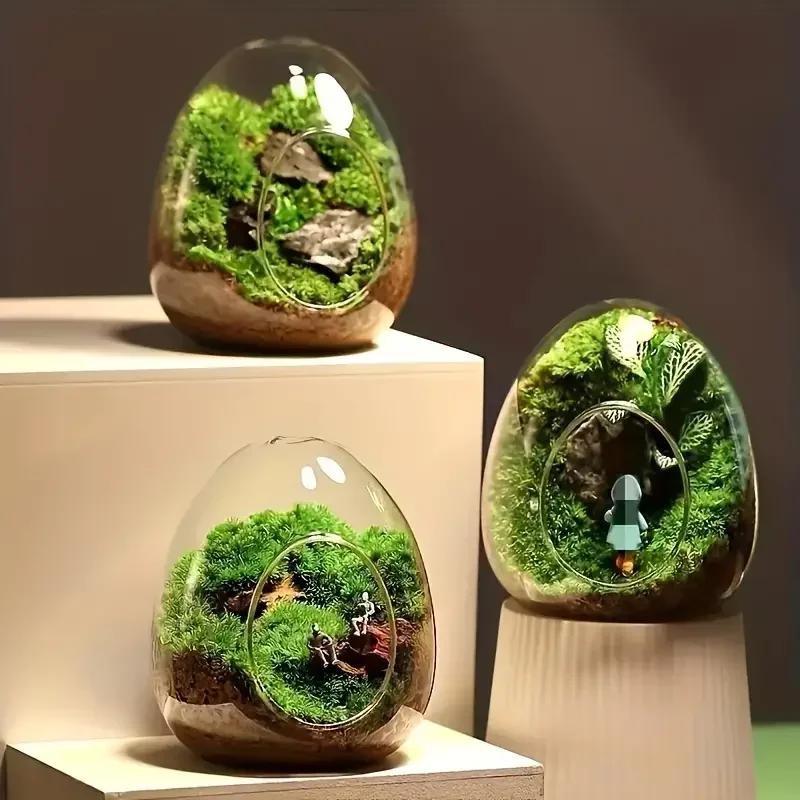1PC Hydroponic Fleshy Micro Landscape Glass TerrariumCreative Egg-shaped Glass Bottles Succulent Glass Vase Moss Home Decoration