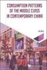 Книга Consumption Patterns Of The Middle Class In Contemporary China