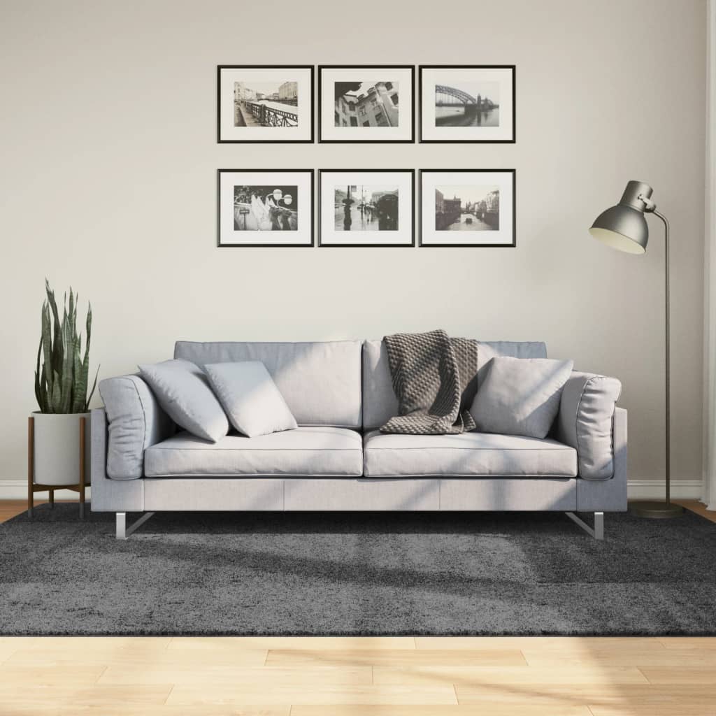 Vidaxl Dywan Oviedo Z Krótkim Włosiem, Antracytowy, 160X230 Cm