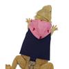 Canvas Bearded Dragon Lizard Hoodie Colorful Lizard Harness Vest  Walking