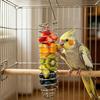 Stainless Steel Parrot Forager Feeder Durable Outdoor Bird Feeding Device Spiral Design Natural Fruit Basket for Small Pets