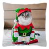 Счастливого Рождества Нора Кошка Наволочка Печать Серия Главная Квадратный Офис Чехол Для Подушки