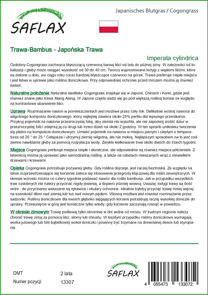 SAFLAX Когонгграсс - 50 семян - Imperata cylindrica