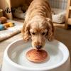 99.9 Percent Pure Copper Water Purifier Purification Disc for Dog, 4-Inch Diameter Disc, Pet Dispenser Cleaning with 3-Point Support Dog