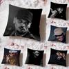 Горячая наволочка C-Chris Brown Cushion Cover Премиум-комфорт Двусторонняя наволочка - Дизайн «Два в одном» для любой комнаты и салона автомобиля